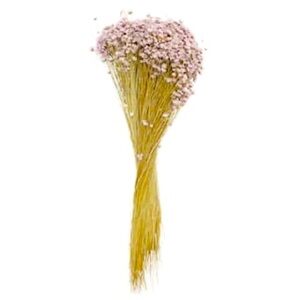 13" Purple Campo Flowers by Ashland Artificial Flowers Faux Plant